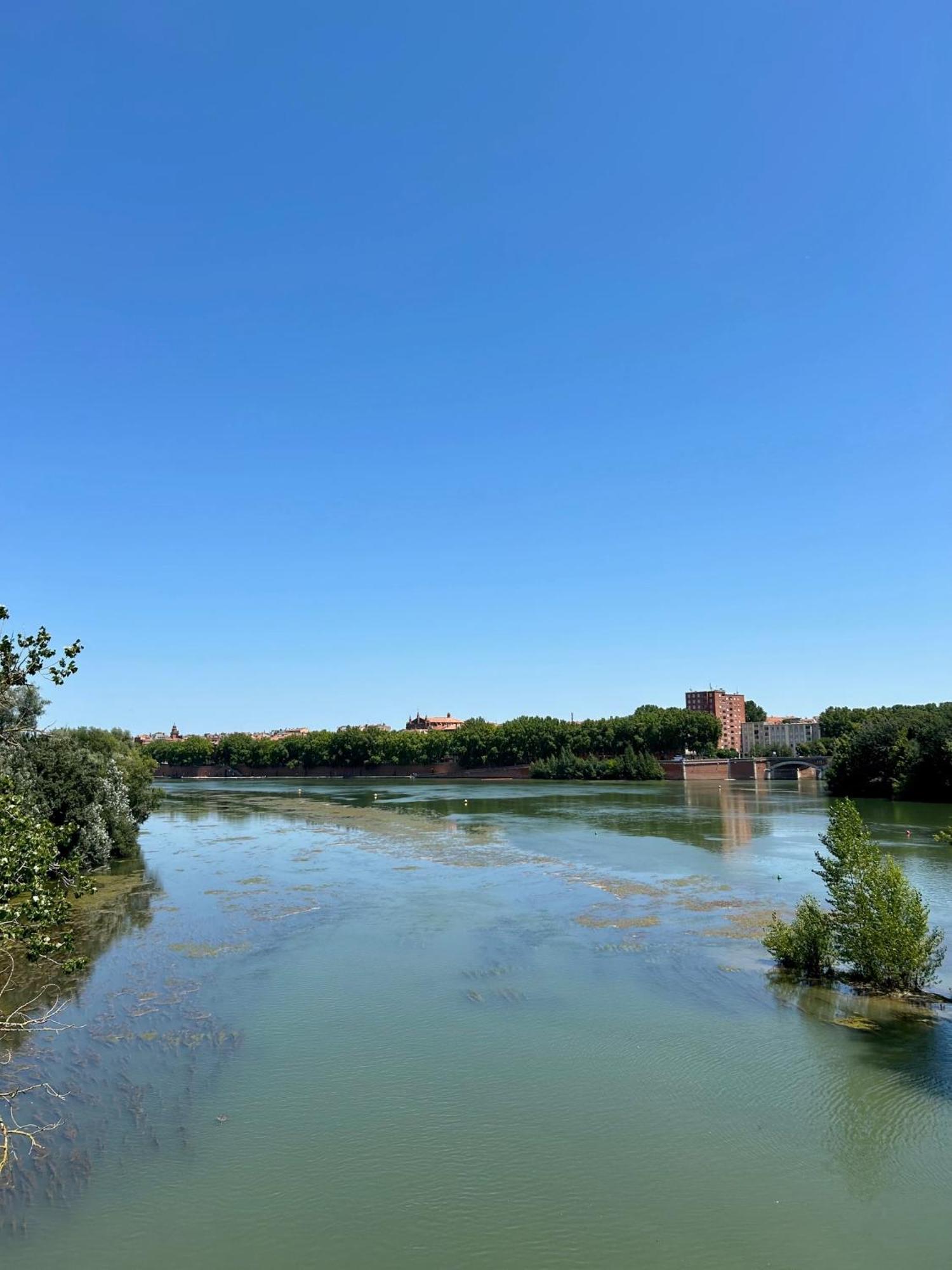 Loft Garonne - Centre Ville Immeuble Privatif Toulouse Exterior foto